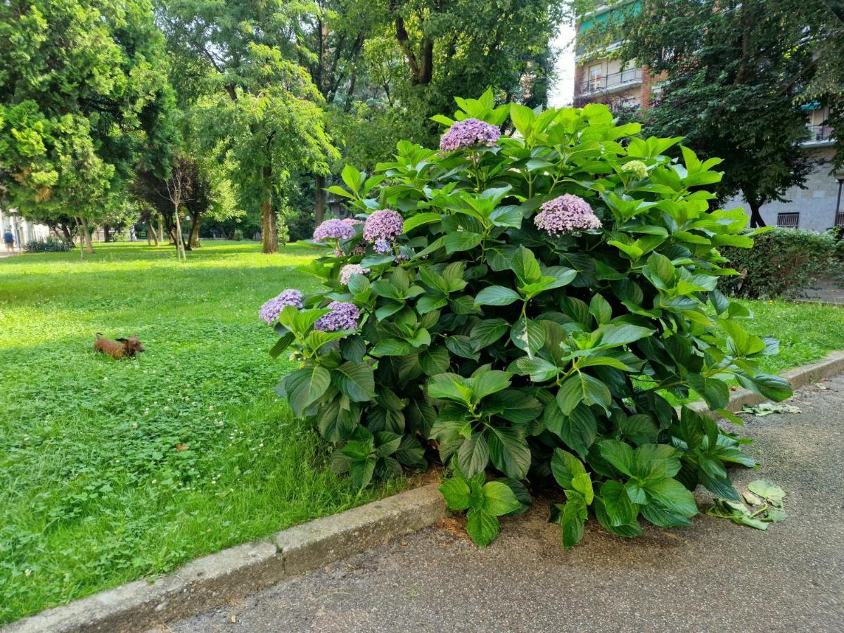 Giardino Sul Naviglio Apartment Mailand